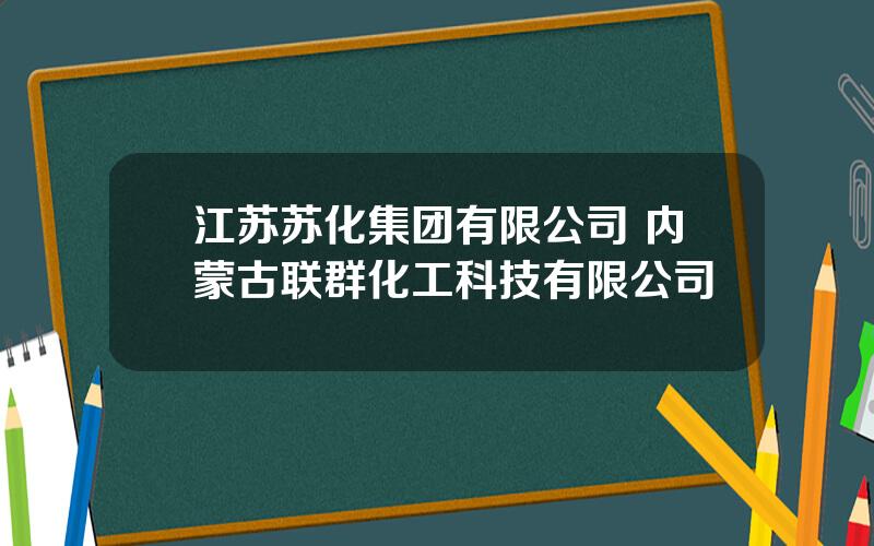 江苏苏化集团有限公司 内蒙古联群化工科技有限公司